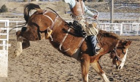 Dax Hadlock pictured riding a bronc at rough stock practice.