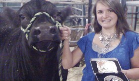 Madi Shults remains undefeated in beef showmanship in 2012 and was honored as the highest ranked 4-H junior livestock judge in Colorado.