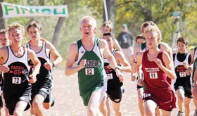 Rangely senior William Scoggins won the state qualifying regional cross country meet last Saturday and will run for a state title this Saturday in Colorado Springs.