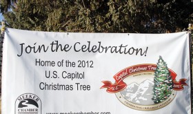 A banner placed on the courthouse lawn invites everyone to join the celebration of Colorado’s gift to the nation starting Nov. 2.