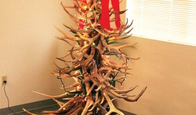 phmkblm antler tree