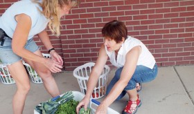 Chris Wills and Melissa Norman chat while transferring fruits and vegetables into Norman's own basket to take home. The co-op offers approximately $50 of produce for $15. Organic baskets and add-on items are also part of the program.