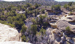 The dinosaur dig being conducted by Colorado Northwestern Community College about five miles south of Rangely is invisible from above and overlooks the deep canyon and cedar and pinyons below, which is well more than a 100-foot drop. The site is just over the ledge, and a slip from where the perch has been established for the dig would most likely end up with a serious trip to the hospital or worse.