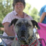 phmkbarkinthepark1