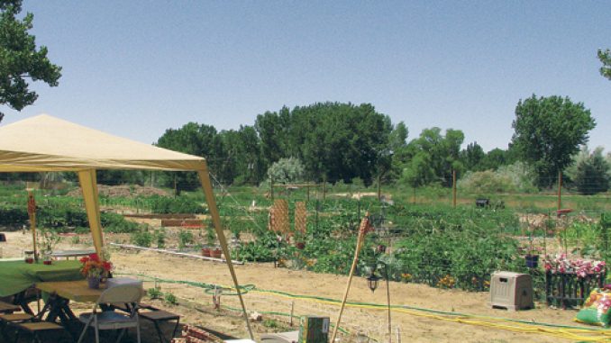 phrgcommunity garden