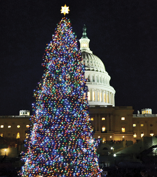 phmkcapitol Christmas tree p1