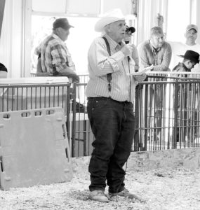 phFAIRLivestockAuctioneer