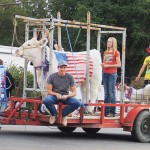 phRGSEPTParadePatrioticCow