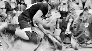 phmkdonkey noah bucked