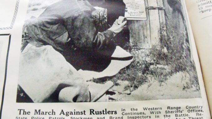 phBlack&WhiteOnRustlers