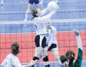 Aly Ridings