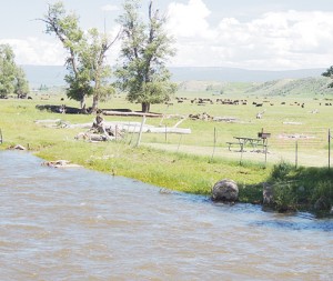 Water was very high along the banks of the White River just off the edge of Circle Park in Meeker on Saturday. There are a few spots along the White River in Rio Blanco County where the river is flowing just outside its banks, but the river flooding has been minimal and has been dropping the last couple of days.