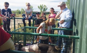 On July 12, Rhett Long of Vernal, Utah, visited the Rangely 4-H Community Pens to teach the 4-H members how to shave a pig, what to expect in showmanship at the Rio Blanco County Fair and offer advice for feeding 4-H swine. There were more than 30 4-H members and parents, some from as far as Grand Junction, present to listen to Long. Bonnie Long, who organized the event, said, “Rhett did a great job and we had a great turnout from Rangely and Grand Junction 4-H members and parents. Thank you to Encana for adding monetary support for activities such as this.” In 2015, a new 4-H club called Elite 8 will be exploring livestock, leadership and will be putting together another clinic to inform 4-H members, she said. Every 4-H member at the event received a prize. The Rio Blanco County Fair officially begins Friday and runs through Aug. 2.