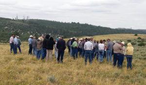 The White River and Douglas Creek conservation districts hosted a Natural Resource Tour in the Piceance Basin on Aug. 13 with 45 participants which included elected officials, agency staff, college instructors, and other interested members of the public.