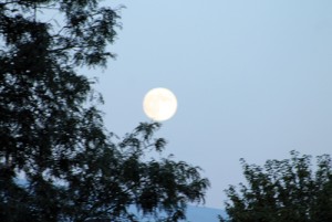 phRGSupermoonSunday