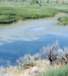phSedimentAtKenneyReservoir