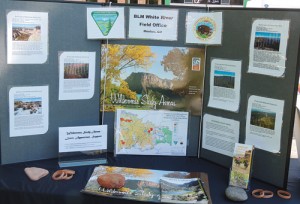 The Bureau of Land Management, which has the White River Field Office in Meeker, had a wilderness display on hand for the “50 Years Wild” celebration on the county courthouse lawn Saturday in Meeker. The display addressed area wilderness study areas, including Skull Creek, Black Mountain, Oil Spring Mountain, Bull Canyon, Willow Creek and  Windy Gulch.