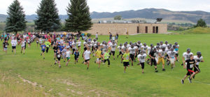 sptphmk vicky tate run *