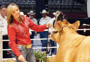 Anna Walsh, the daughter of Tom and Lisa Walsh of Meeker, sold her market heifer “Squirrel” at the 2014 Colorado State Fair Junior Livestock Sale. The Junior Livestock Sale is sponsored by Colorado Touchstone Energy Partners, of which White River Electric is a member.