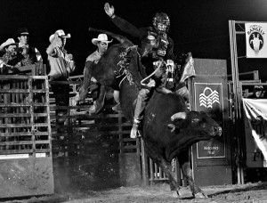Kody Pierce of Keenesburg, Colo., held on tightly during the Rock ‘N’ Bull competition during Rangely’s annual Septemberfest. Pierce took second place at the event, which he has won twice before this year.