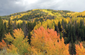 phMKFallColors2