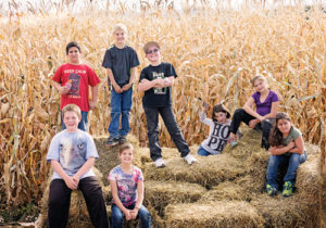 phRG4Hpumpkinpatch