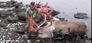 Meeker Town Administrator Scott Meszaros was recently treated to a hunting trip by his father, Merle, to Baralzon Lake, Nunavut, Canada, (formerly the Northwest Territories) within the Arctic Circle to hunt for central barren ground caribou. Meszaros killed two bulls with a bow and arrow on his expedition. The kills were his 10th archery-killed species, which completed his “Super 10” super slam of North American big game species. In January, Meszaros will attend  the Superslam National Banquet in Reno, Nev. For more information, see: www.superslam.org/super-slam/super-ten. Pictured is one of the two bulls.