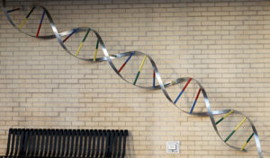 The artwork signifying that the Rector Building is a building of science is now in place. The DNA molecule sculpture, which spans from corner to corner on one wall of the Rector Science Building is a multi-colored long coiled double helix that resembles a spiral staircase. Peggy Rector said the model represents science and the Rector Building is all about science. She said she is pleased with the sculpture and believes that all who pass by will know what the building stands for.