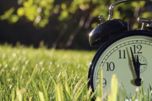 Don’t forget to turn your clocks forward one hour on Saturday night before you go to bed. Daylight Saving Time returns on March 8. Longer days are ahead of us! 