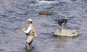 Mark Scritchfield and his faithful fishing companion tried their luck along the river. 