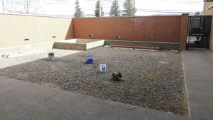 There is a large courtyard just outside the library’s new computer room and it will feature tables and chairs for reading, studying and relaxing. There will be a stage back left and landscaping, including two trees to be placed on the right, next to the sidewalk.