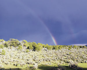 Colorado has long been known for quick-changing weather conditions, and this double rainbow was caught on Sunday afternoon amid the different weather conditions of sun, clouds, rain, wind and thunder in the area.