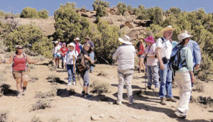 Twenty-seven Colorado Northwestern Community College instructors, students and county residents joined for a tour of the CNCC dinosaur dig south of Rangely on Saturday as a field trip to show the residents the progress being made on the dig for a large dinosaur well hidden in a canyon. Several large rib bones and upper leg bones have been exposed in the two to three weeks the dig has been going on, and CNCC is using the dig as an educational opportunity. To the left, in red, is CNCC science instructor Liz Johnson, who is also a certified paleontologist, who must be on site for this kind of dig.