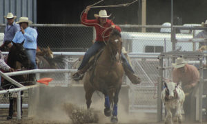 Meeker High School alumnae Deena Norell won the breakaway roping in the Colorado Professional Rodeo held Friday during the 130th annual Range Call celebration, which celebrates the oldest continuous rodeo in the state of Colorado. 