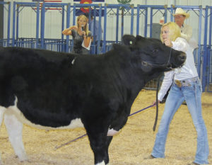 That’s a lot of beef under that rope, and it was impressive enough to earn its owner, Megan Parker, a first-place ribbon in Heat Three of the Beef 4-H Market Class at the Rio Blanco County Fair. In that same heat, second place went to Kaden Franklin and third went to Kolbi Franklin. Parker is a senior and has run out of eligibility at the fair, but she has been an award winner for several years.