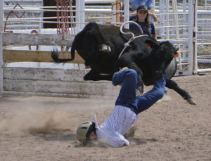 Some days go better than others, but Connor Blunt’s day got extra tough in front of the spectators at the Li’l Buckaroo Rodeo on Saturday afternoon. Blunt did a face plant into the dirt in the middle of the arena during the rodeo’s calf riding event, which was part of the annual Rio Blanco County Fair.