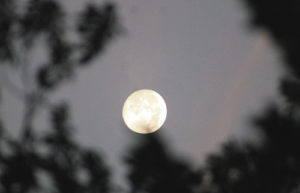 It isn’t common, but in the sky on Thursday night, this view of a “blue moon” was enjoyed over Rangely. Full moons are usually 28 days apart, but this was the second full moon of July, which is called a “blue moon.”