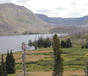 phMKWestEndOfTrapper's Lake