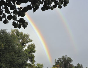 phRGDoubleRainbow