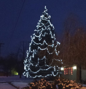 phrgBigRangelyChristasTree