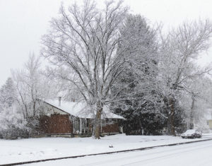 phmkWinterStormMonday