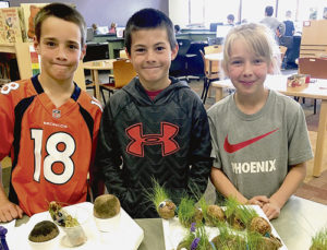 Jake Blazon, Jace Mobley and Jayde Turner stand by chia pet displays and grass seed experiments that used sand, gravel and compost as soil to see which sprouted first. Science was the subject to study this week at the elementary school’s STEM projects.