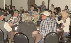 More than 150 people enjoyed a catered prime rib dinner from Holliday’s during Saturday night’s After Birth Ball, a celebration of the calving and lambing season put on as a fund-raising event by and for the Meeker Chapter of the Future Farmers of America.