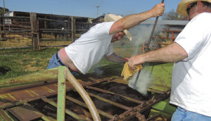 Ed Heil, right, watches as brother Dale Heil continues the branding of the calf on the Heil Ranch, located west of Meeker. It takes the use of three branding irons to brand the calves, which also makes it a tough job that the calves aren’t happy with. The Heils run black angus, red angus, herefords and black baldies on the ranch, which is in excess of 400 acres with a lease of more than 1,000 other acres.