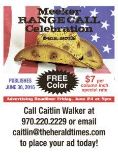 RC2016_flyer
