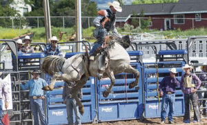 Mud often makes for a slow, bogged down ride for the saddle bronc rider but this pair took it to new heights on Sunday evening at the Colorado Professional Rodeo Association-sanctioned rodeo at the Rio Blanco County Fairgrounds before a nearly full and highly appreciative audience.