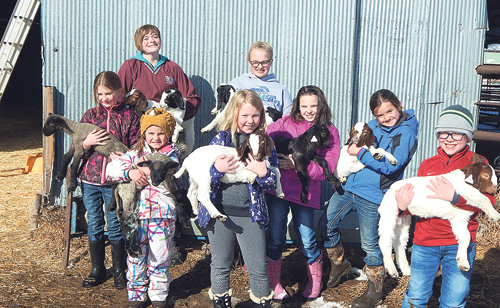 phMKlivestock4Hclub