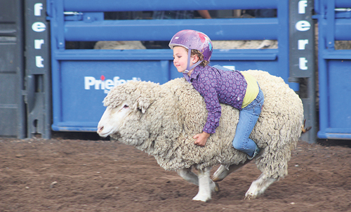 b phmkrodeo mutton bustin
