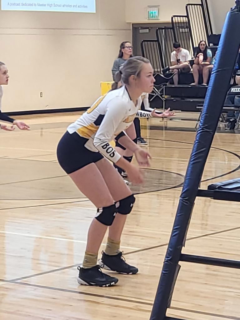 Cowboy volleyball heads into HoCo matches The Herald Times Serving