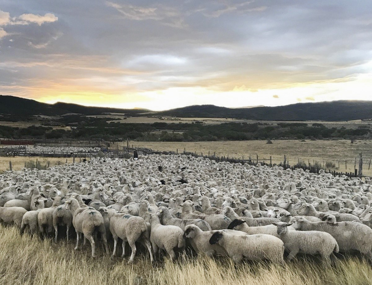 Nick Theos Family Ranches conserved | The Herald Times | Serving Meeker, Rangely, Dinosaur & Northwest Colorado - Vimarsana News